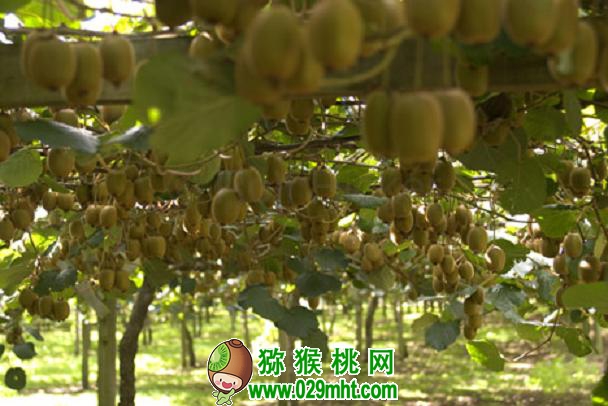 豪门国际官方网站图片