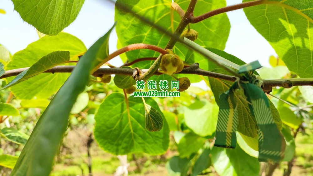 豪门国际 eeb28