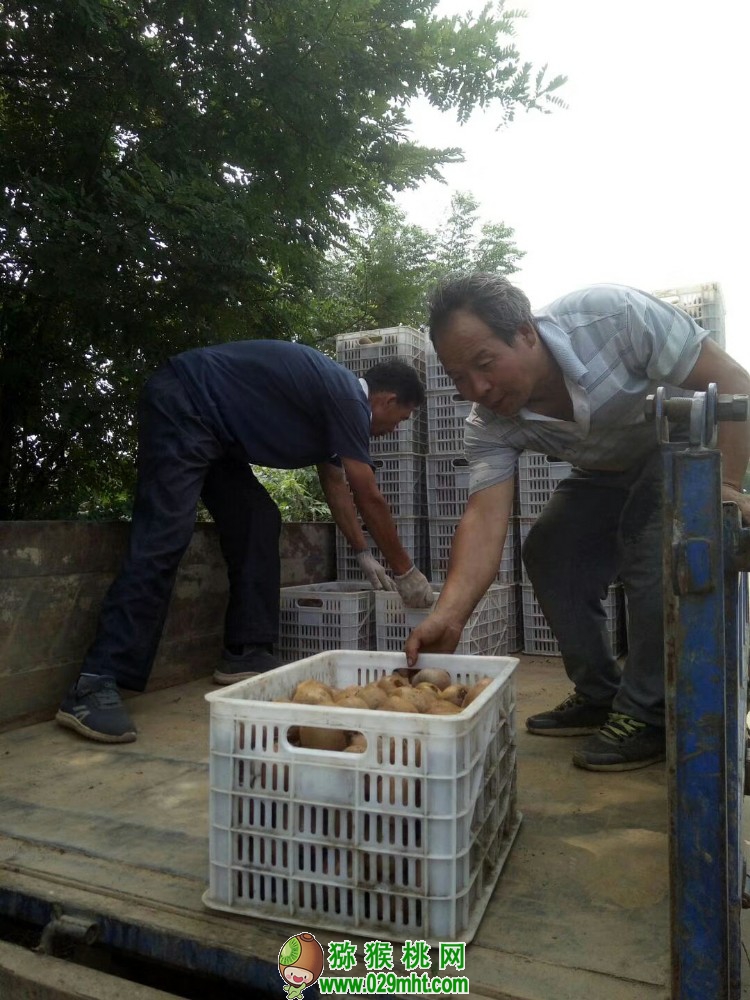 豪门国际 c6c44