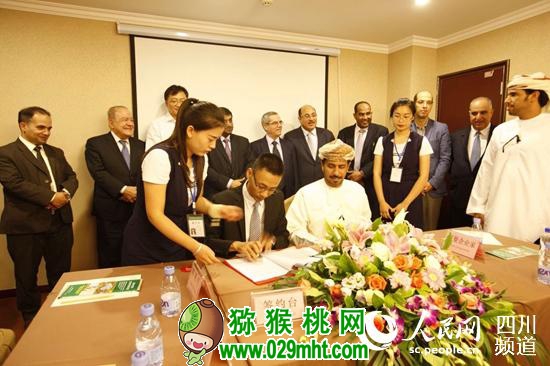 豪门国际官方网站图片