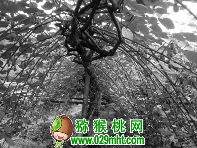 豪门国际官方网站图片