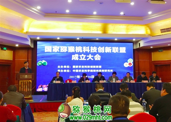 豪门国际官方网站图片