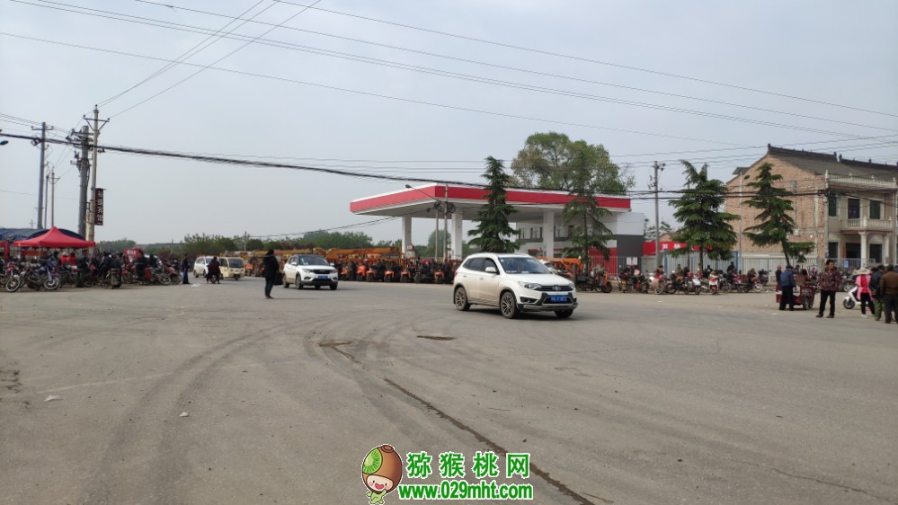 豪门国际 68de2