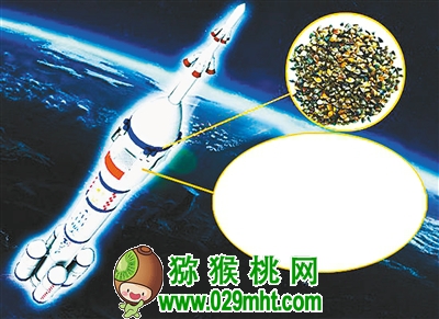 豪门国际官方网站图片