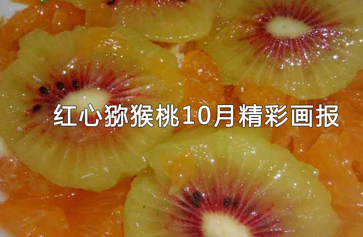 豪门国际 51c93