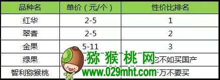 豪门国际官方网站图片