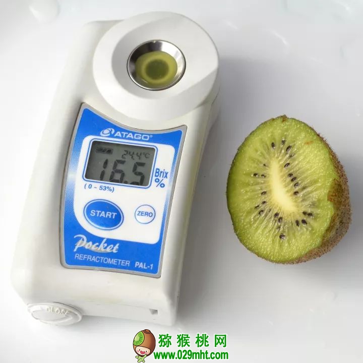 豪门国际官方网站图片
