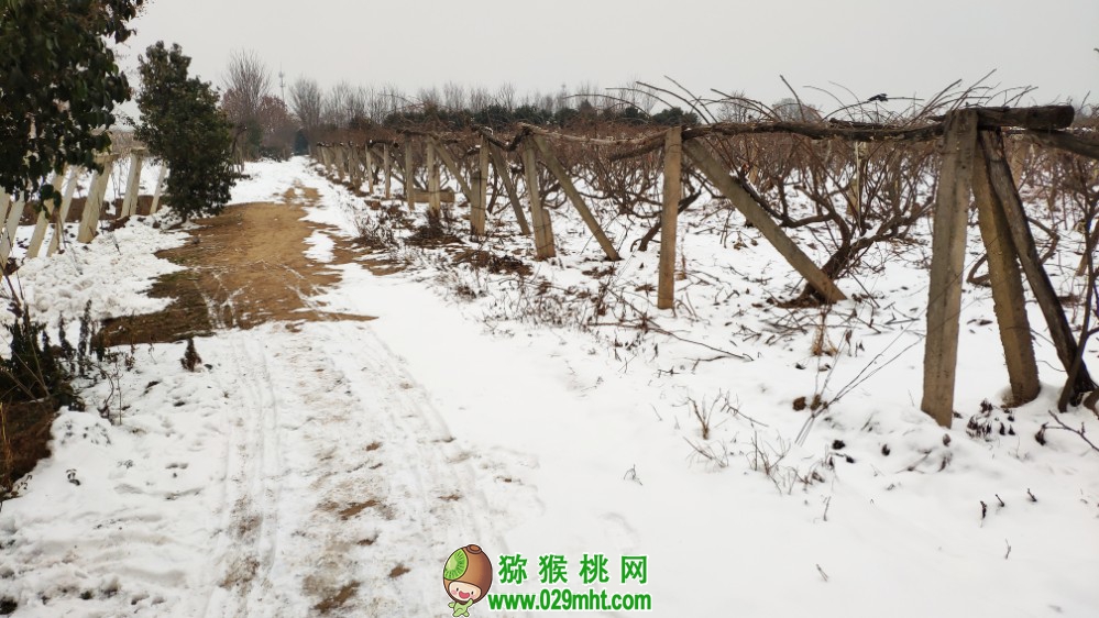 豪门国际 b9d91