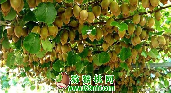 豪门国际官方网站图片