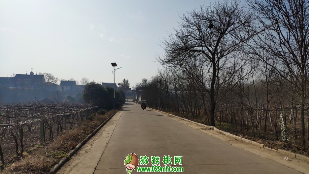 豪门国际 0fdfd