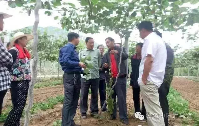 豪门国际官方网站图片