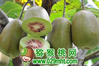 豪门国际官方网站图片