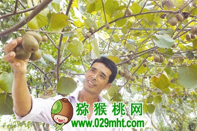 豪门国际 18f76