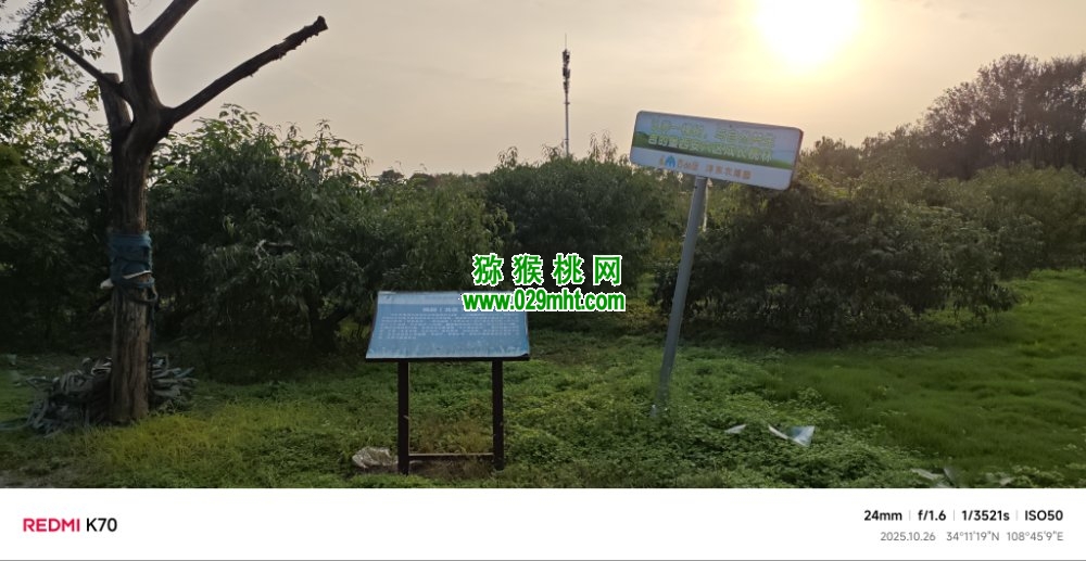 豪门国际 e8ae4