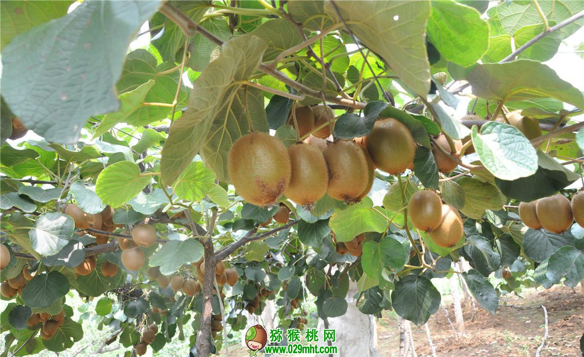 豪门国际官方网站图片