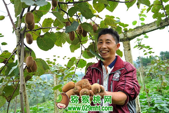 豪门国际官方网站图片