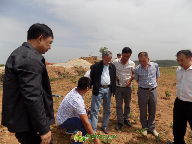 省果业局人员现场查看种植基地