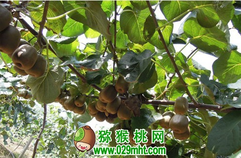 豪门国际官方网站图片