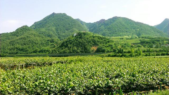 豪门国际官方网站图片