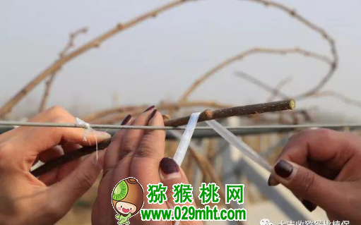 豪门国际官方网站图片
