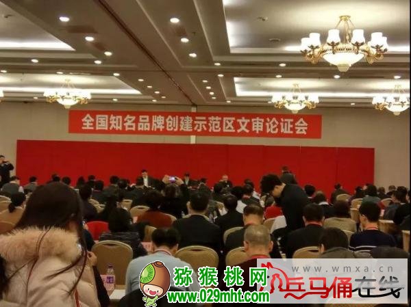 豪门国际官方网站图片