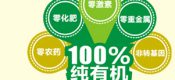 周至豪门国际猕猴桃开始套戴
