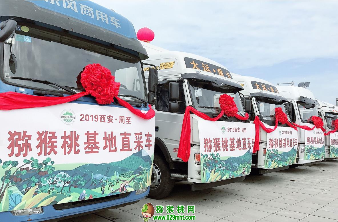 豪门国际官方网站图片