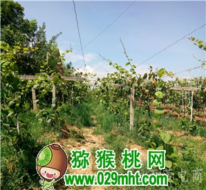 豪门国际 e4cb7