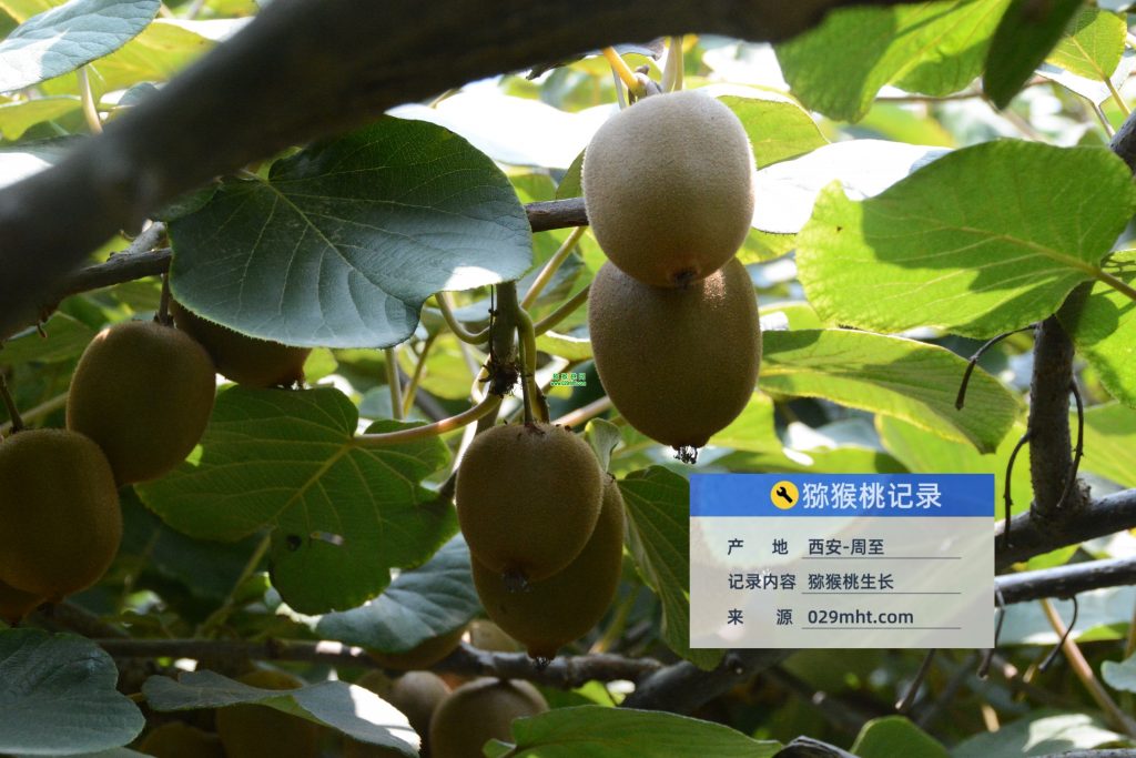 豪门国际官方网站图片