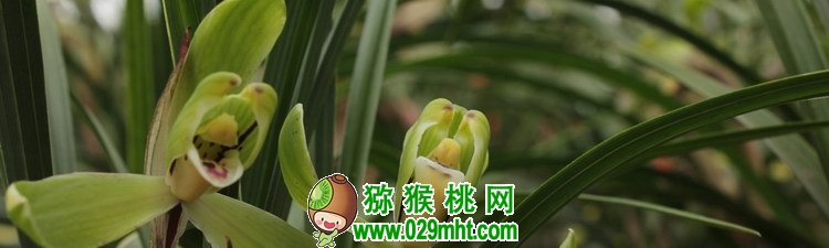 豪门国际官方网站图片