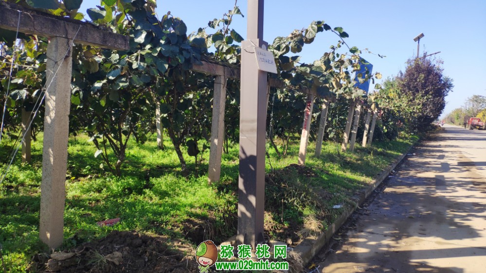豪门国际 d19c4