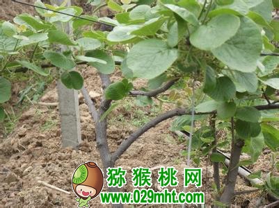 豪门国际官方网站图片
