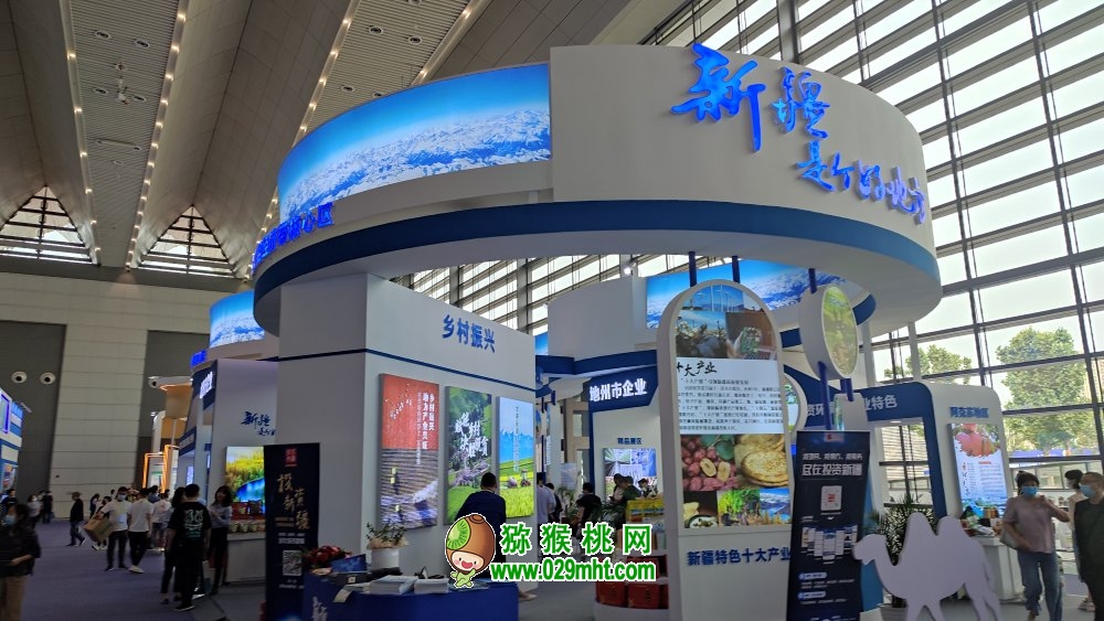 豪门国际官方网站图片
