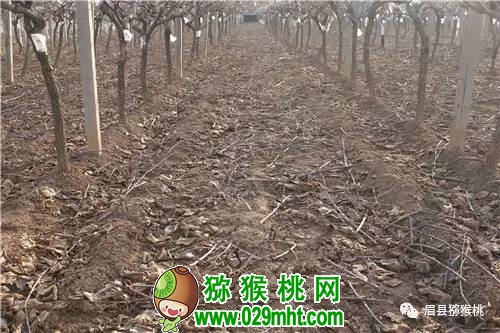 豪门国际官方网站图片