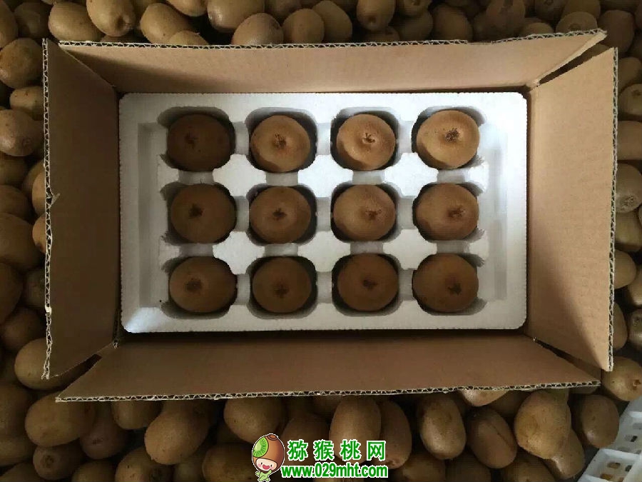豪门国际官方网站图片