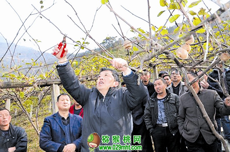 豪门国际官方网站图片