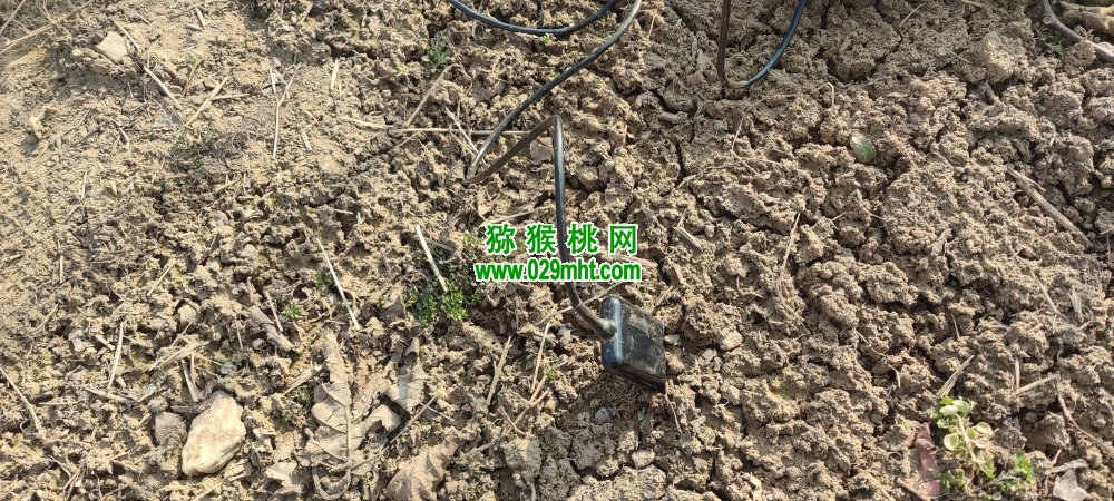 豪门国际官方网站图片