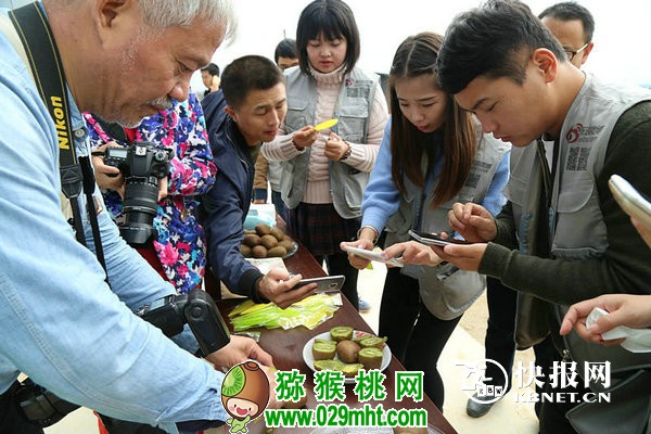 豪门国际官方网站图片