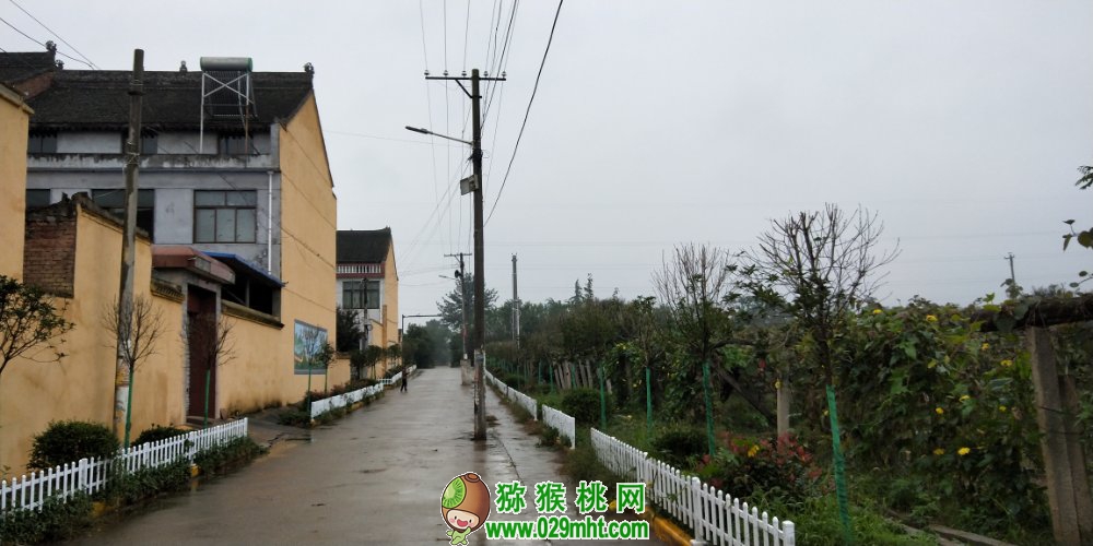 豪门国际 042d6