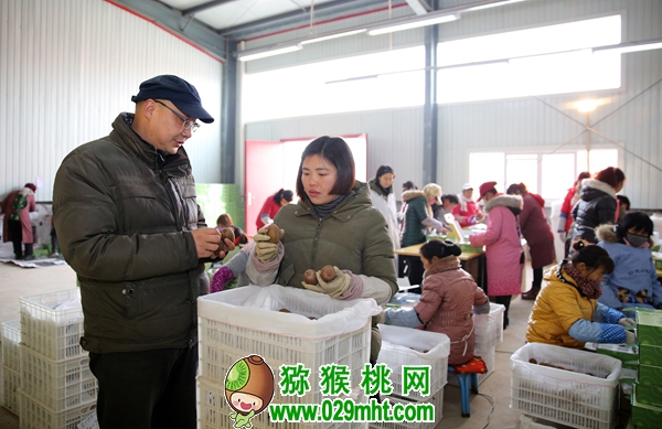 豪门国际官方网站图片