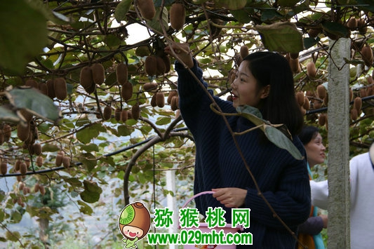 豪门国际官方网站图片