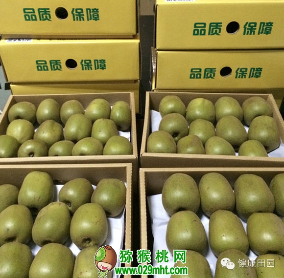 豪门国际官方网站图片