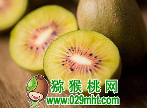 豪门国际官方网站图片