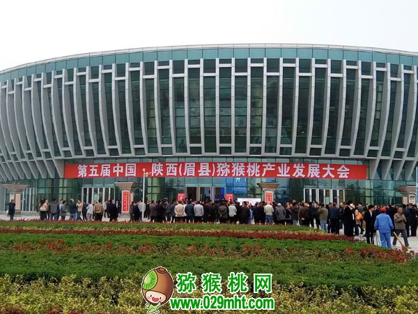 豪门国际官方网站图片