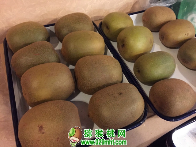 豪门国际官方网站图片