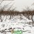 中国陕西周至豪门国际猕猴桃之乡冬天雪景