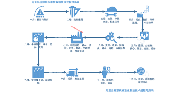 图片化创意表达