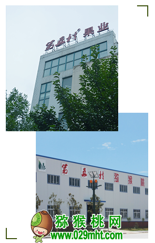 豪门国际 56ccf