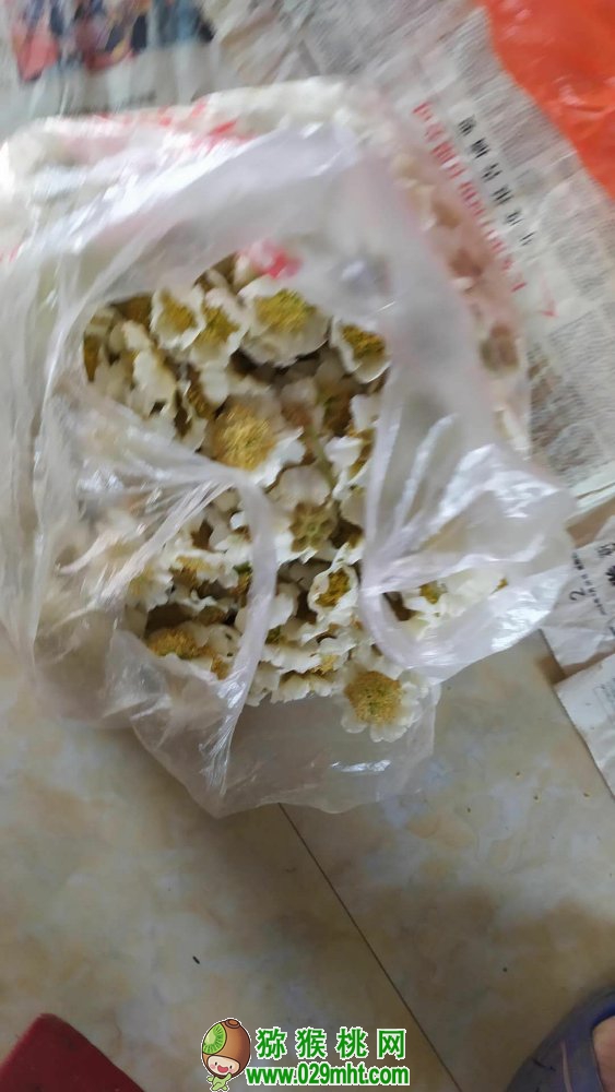 豪门国际 9e5b7