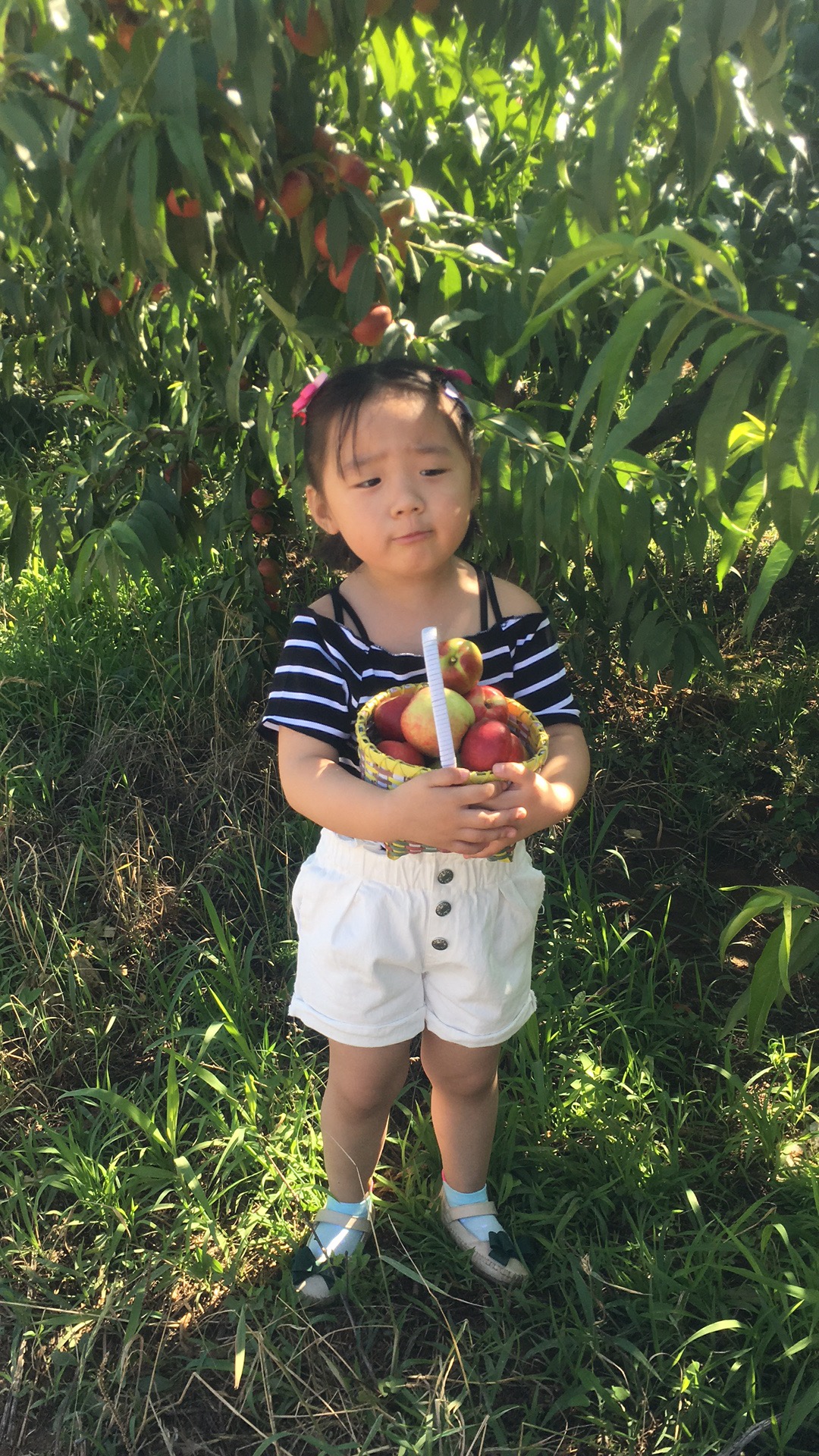 豪门国际 04dd0